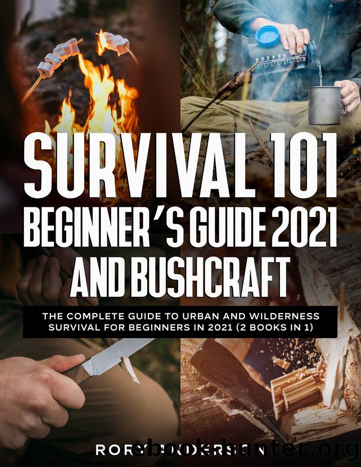 Survival 101 Beginner's Guide 2021 AND Bushcraft: The Complete Guide to Urban and Wilderness Survival for Beginners in 2021 (2 Books in 1) by Rory Anderson