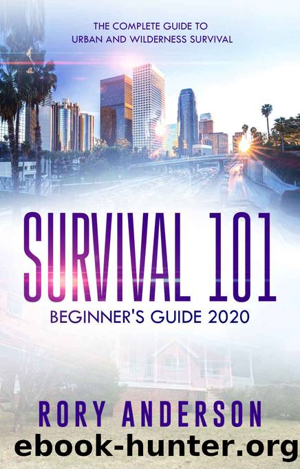 Survival 101 Beginner’s Guide 2020: The Complete Guide To Urban And Wilderness Survival by Rory Anderson