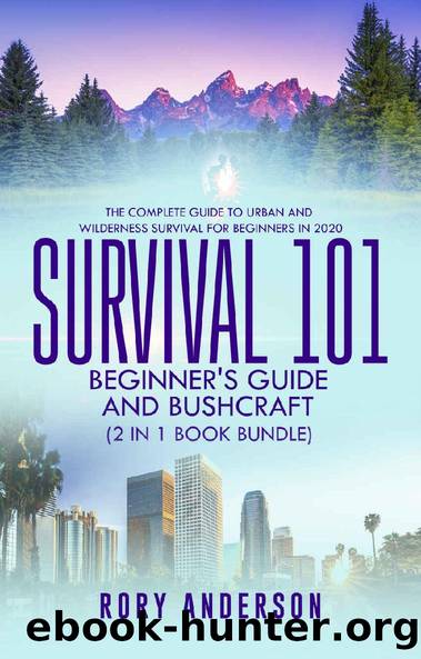 Survival 101 Bushcraft AND Survival 101 Beginner's Guide 2020: The Complete Guide To Urban And Wilderness Survival For Beginners in 2020 by Rory Anderson