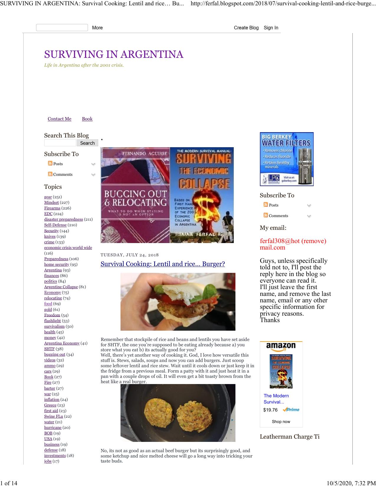 Survival Cooking: Lentil and riceâ¦ Burger? by Ferfal