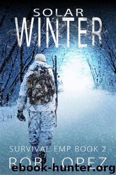 Survival EMP (Book 2): Solar Winter by Lopez Rob