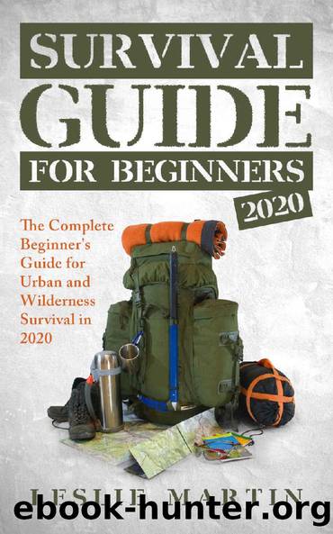 Survival Guide For Beginners 2020: The Complete Beginner's Guide For Urban And Wilderness Survival In 2020 by Leslie Martin
