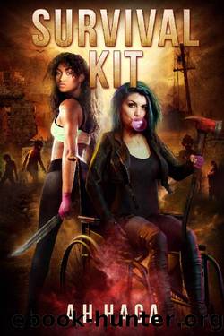 Survival Kit by A. H. Haga & Anniken Haga