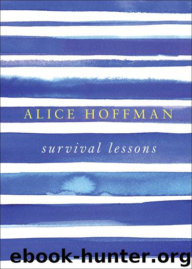 Survival Lessons by Hoffman Alice & Hoffman Alice