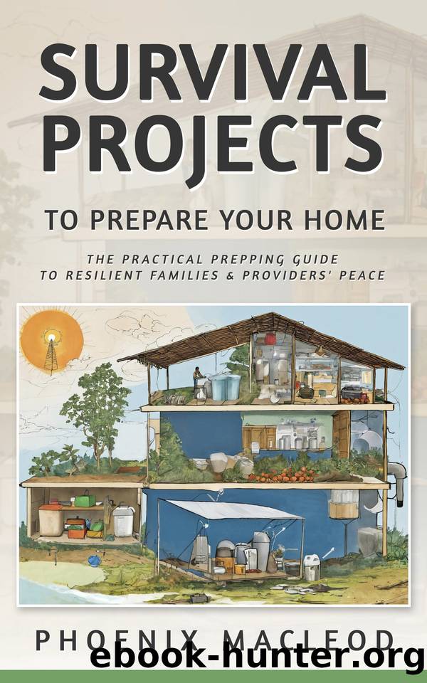 Survival Projects to Prepare Your Home: The Practical Prepping Guide to Resilient Families & Providers' Peace by Phoenix MacLeod