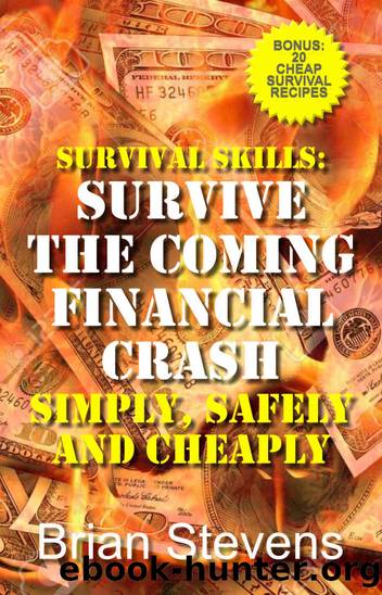 Survival Skills: Survive The Coming Financial Crash Simply, Safely, And Cheaply by Brian Stevens