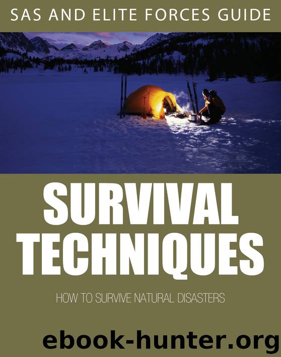 Survival Techniques by Alexander Stilwell
