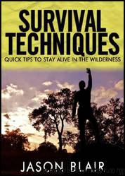 Survival Techniques: Quick Tips to Stay Alive in the Wilderness by Jason Blair