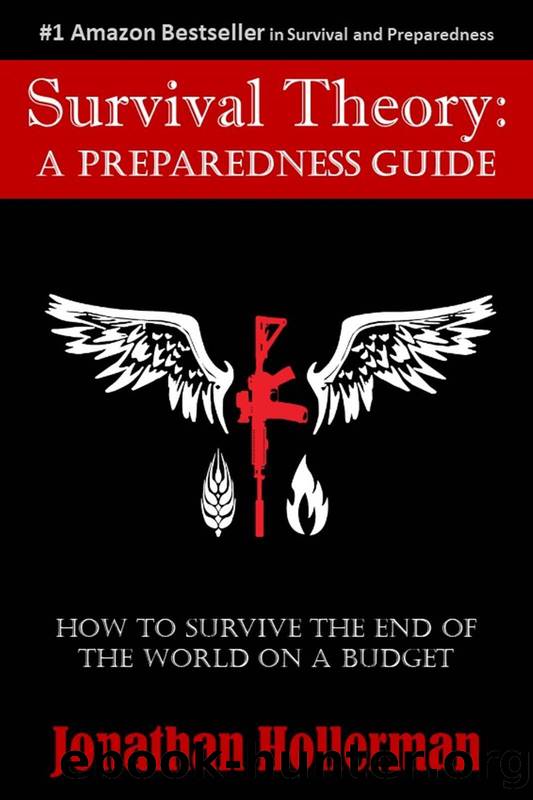 Survival Theory: A Preparedness Guide (EMP) by Hollerman Jonathan