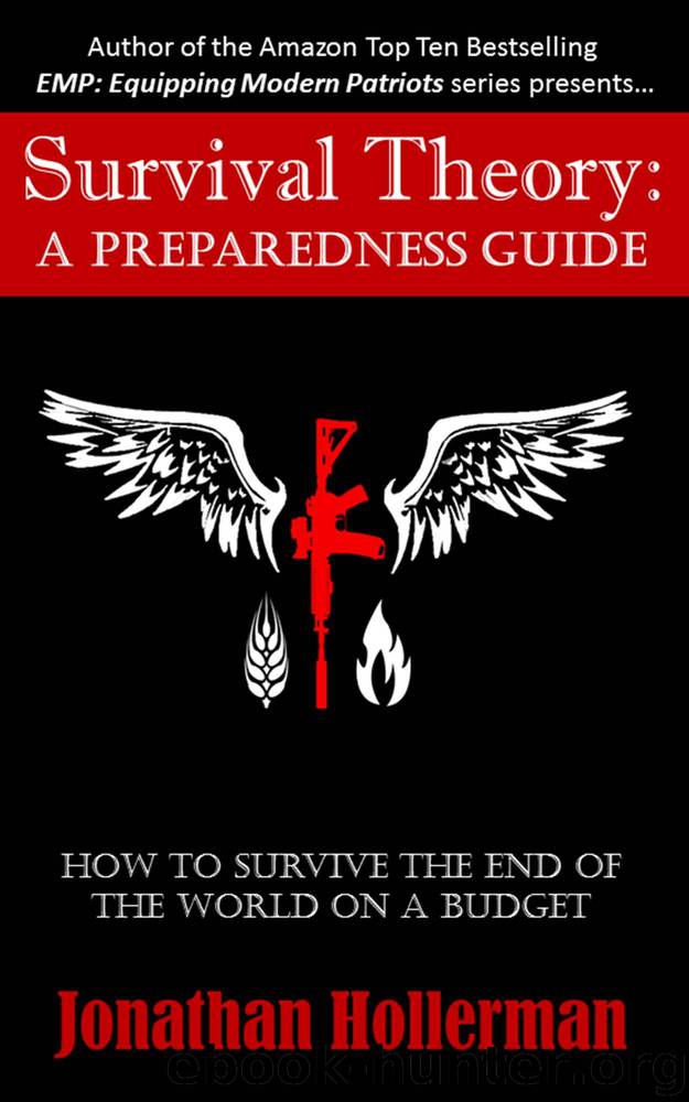 Survival Theory: A Preparedness Guide by Hollerman Jonathan