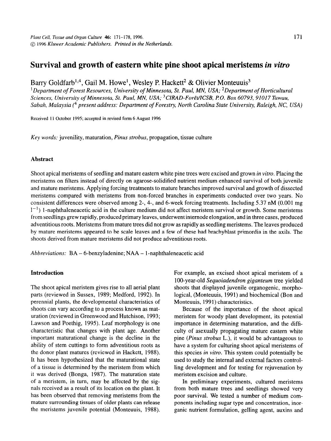 Survival and growth of eastern white pine shoot apical meristems <Emphasis Type="Italic">in vitro <Emphasis> by Unknown