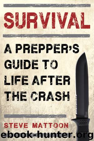 Survival by Steve Mattoon