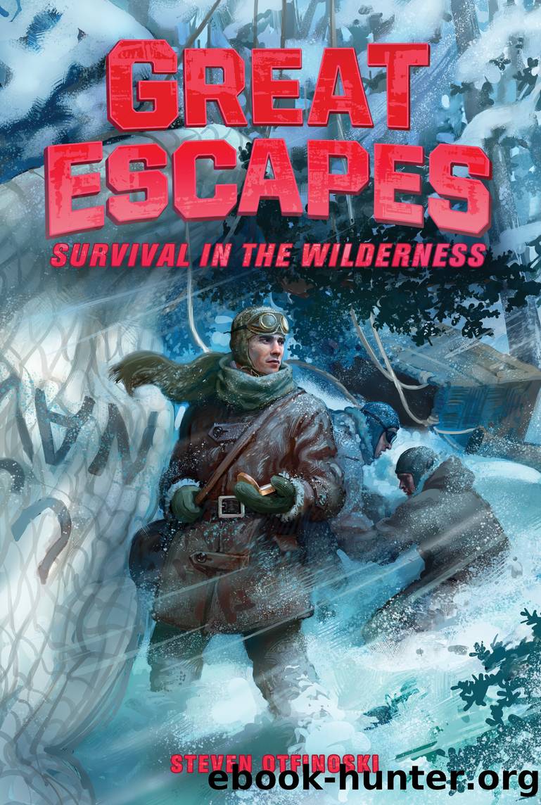 Survival in the Wilderness by Steven Otfinoski