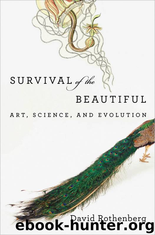 Survival of the Beautiful by David Rothenberg