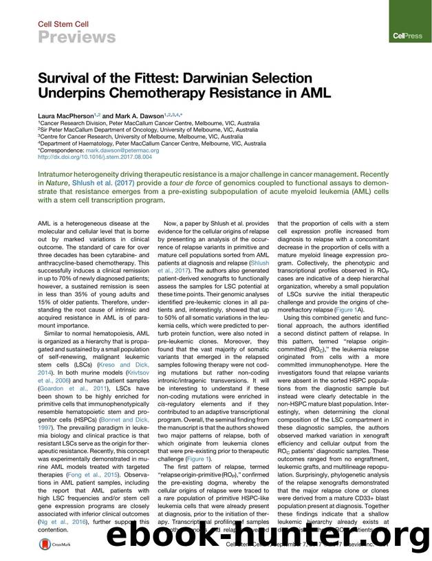 Survival of the Fittest: Darwinian Selection Underpins Chemotherapy Resistance in AML by Laura MacPherson & Mark A. Dawson