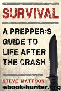 Survival: A Prepper's Guide to Life After the Crash by Steve Mattoon