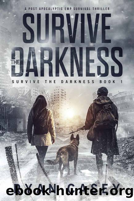 Survive the Darkness: A Post Apocalyptic EMP Survival Thriller by Casey Ryan