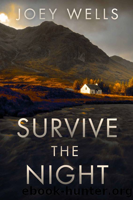 Survive the Night by Joey Wells