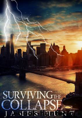 Surviving The Collapse by James Hunt