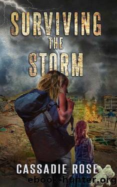 Surviving The Storm: A Post Apocalyptic Survival Thriller (The Storm Series Book 1) by Cassadie Rose