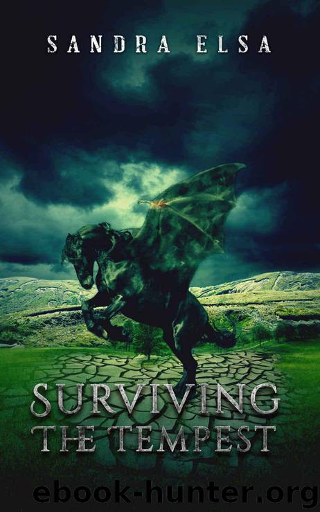 Surviving The Tempest: Tempest Tales by Elsa Sandra