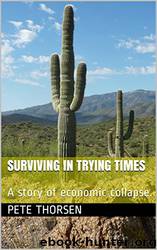 Surviving in Trying Times: A Story of Economic Collapse. by Pete Thorsen
