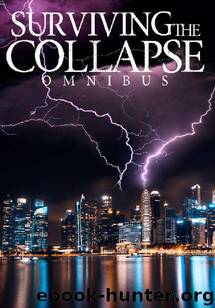 Surviving the Collapse Omnibus by Hunt James