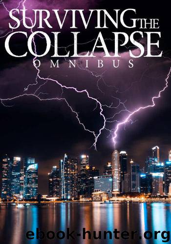 Surviving the Collapse Omnibus: A Tale Of Survival In A Powerless World by Hunt James