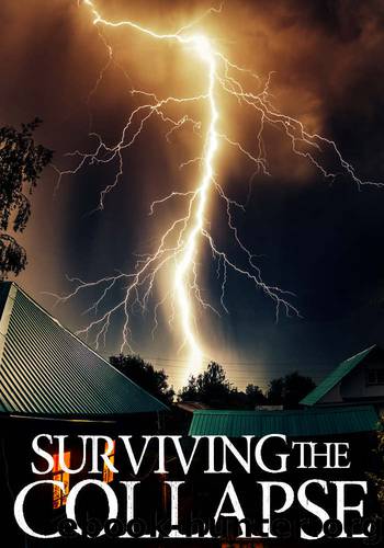 Surviving the Collapse: A Tale Of Survival In A Powerless World- Book 2 by James Hunt