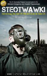 Surviving the End of the World as We Know It: The #1 Doomsday Preppers Survival Guide for the Ultimate Emergency and Disaster Preparedness - From the Founder of www.TheUltimateSurvivalPlan.com by James Jennings