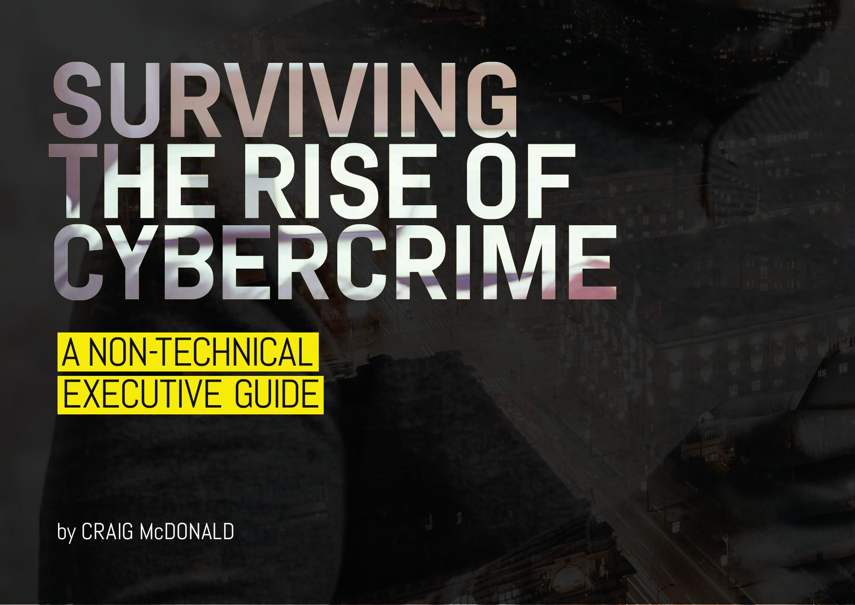 Surviving the Rise of Cybercrime by A Non-Technical Executive Guide (2017)