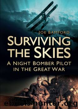 Surviving the Skies by Joe Bamford