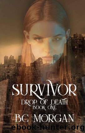 Survivor by B C Morgan