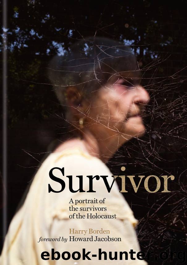 Survivor by Harry Borden