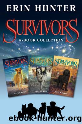 Survivors 3-Book Collection by Erin Hunter