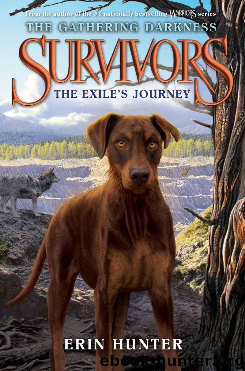 Survivors by Erin Hunter