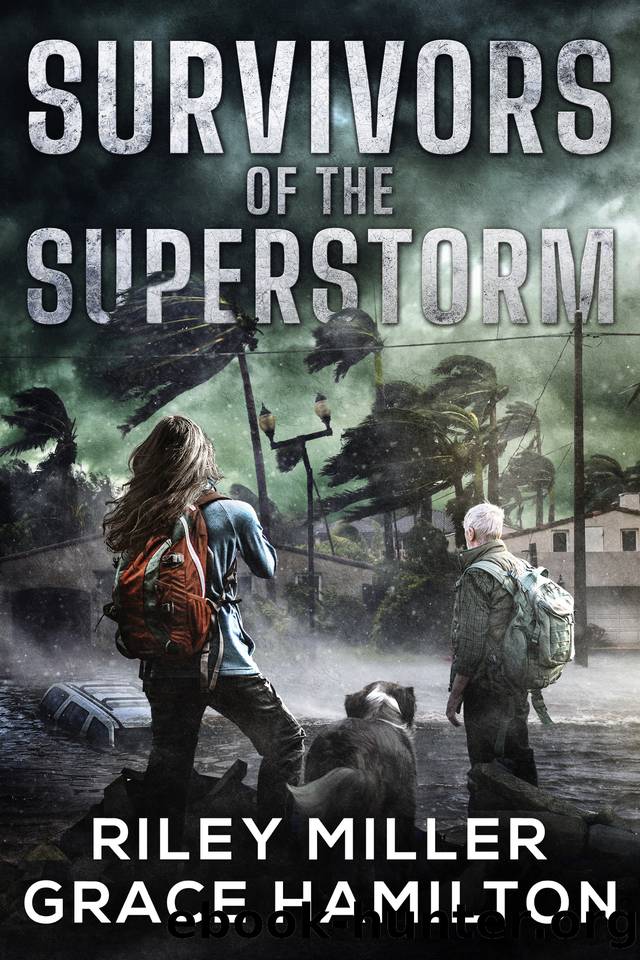 Survivors of the Superstorm: Huge Post-Apocalyptic Disaster Saga with 1000+ Pages of an American Family Surviving a World-Changing Storm by Riley Miller & Grace Hamilton