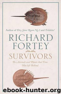 Survivors: The Animals and Plants that Time has Left Behind by Fortey Richard