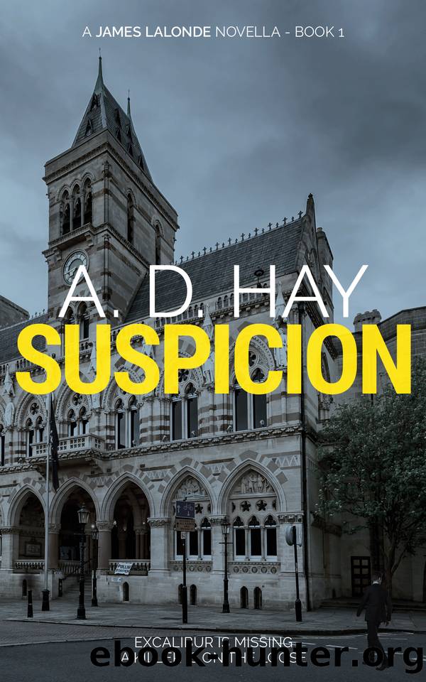 Suspicion by A. D. Hay