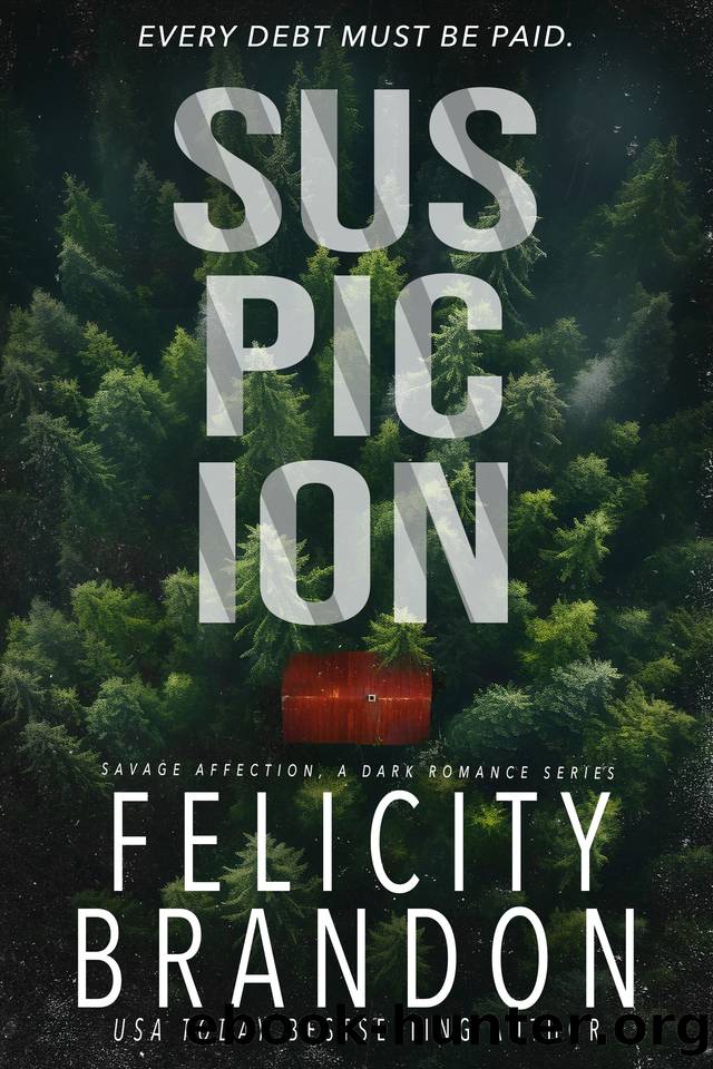 Suspicion: A Dark Romance Kidnap Thriller (Savage Affection Book 1) by Felicity Brandon