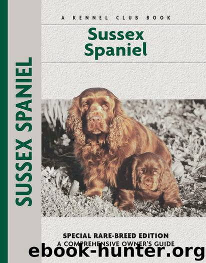 Sussex Spaniel by Becki Jo Hirshy