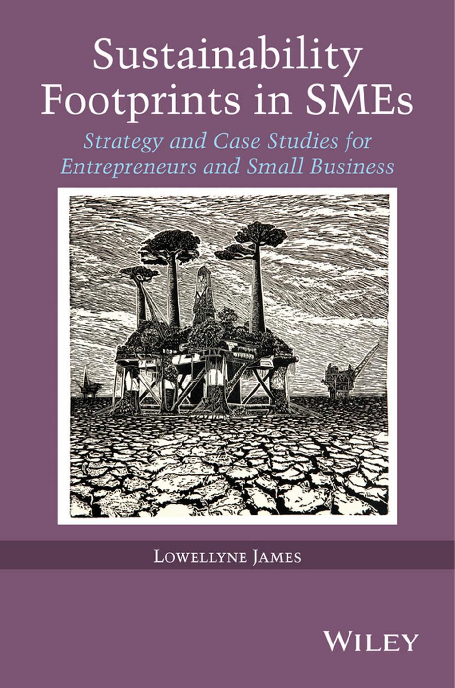 Sustainability Footprints in SMEs: Strategy and Case Studies for Entrepreneurs and Small Business by Unknow