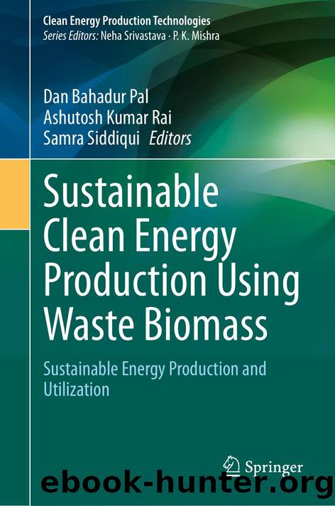 Sustainable Clean Energy Production Using Waste Biomass by Unknown