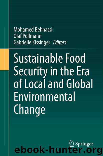 Sustainable Food Security in the Era of Local and Global Environmental Change by Mohamed Behnassi Olaf Pollmann & Gabrielle Kissinger