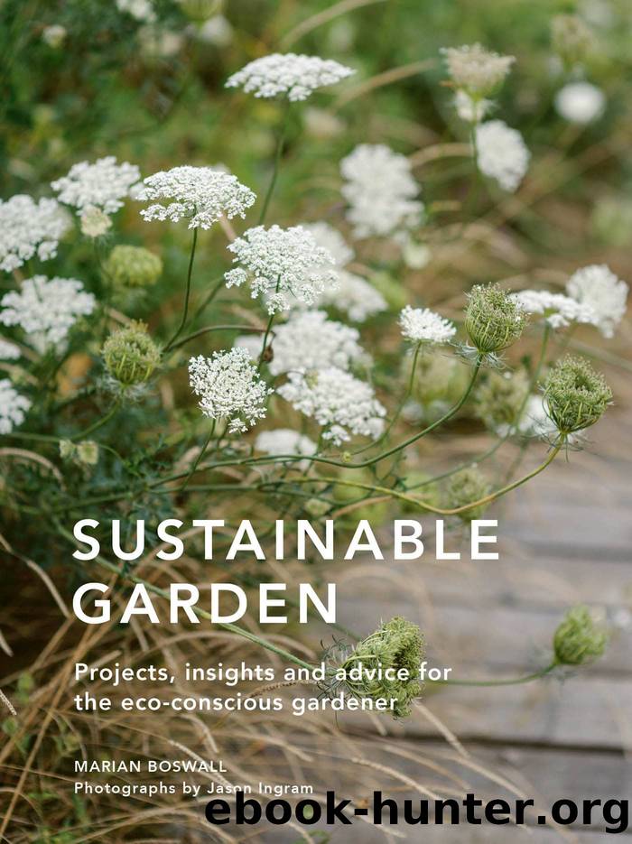 Sustainable Garden by Marian Boswall