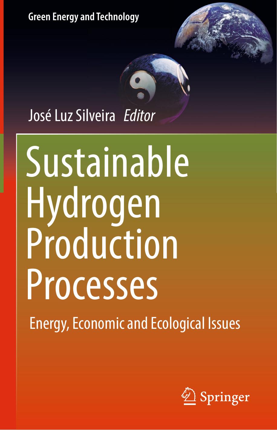 Sustainable Hydrogen Production Processes: Energy, Economic and Ecological Issues by José Luz Silveira