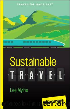 Sustainable Travel for Dummies by Mylne Lee;