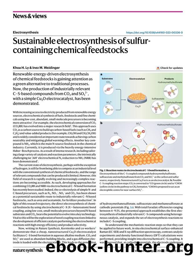 Sustainable electrosynthesis of sulfur-containing chemical feedstocks by Khoa H. Ly & Inez M. Weidinger