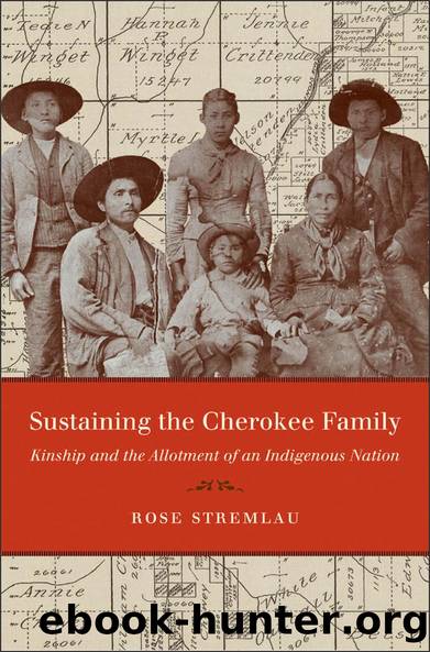 Sustaining the Cherokee Family by Rose Stremlau