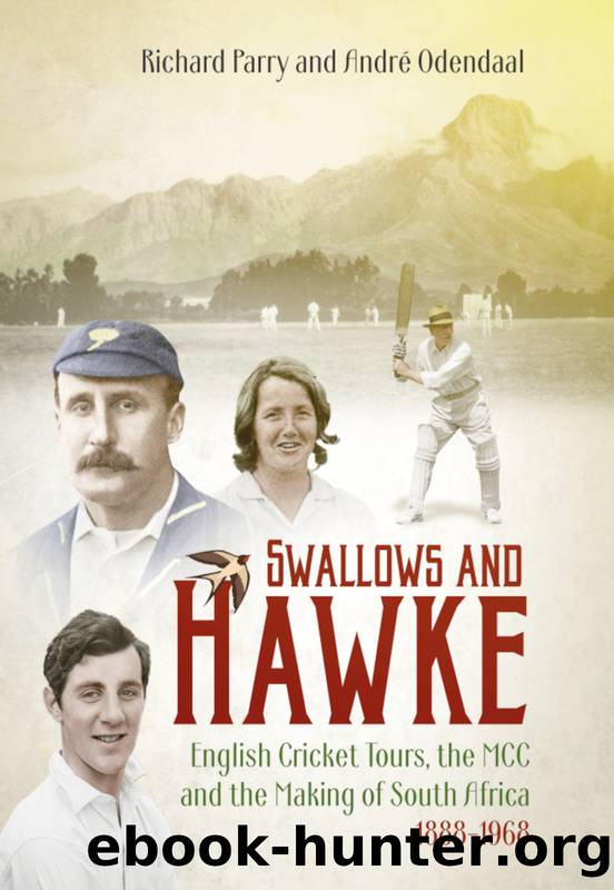 Swallows and Hawke by Andre Odendaal